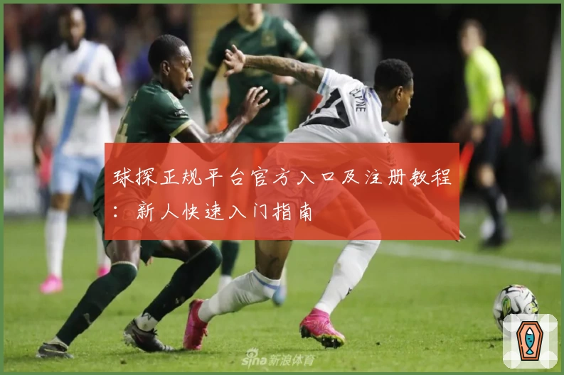 球探正规平台官方入口及注册教程：新人快速入门指南
