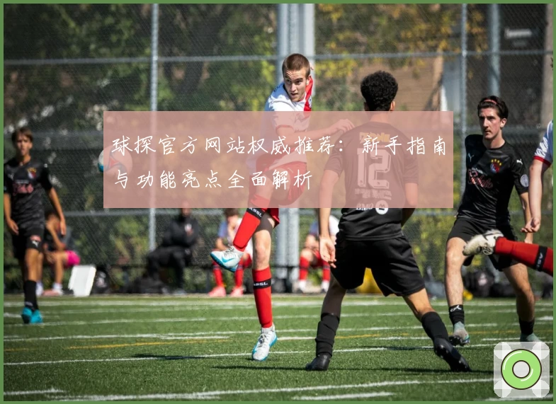 球探官方网站权威推荐：新手指南与功能亮点全面解析