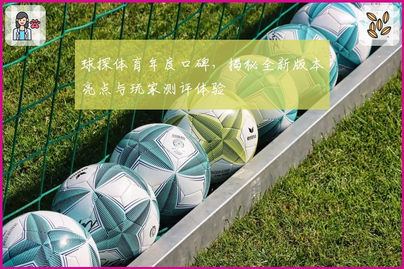 球探体育年度口碑，揭秘全新版本亮点与玩家测评体验